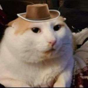 Meet your Posher, Allyson